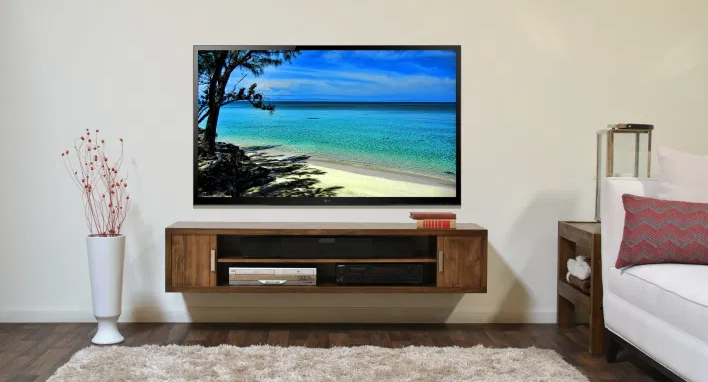 Rent A Big Screen TV For One Day