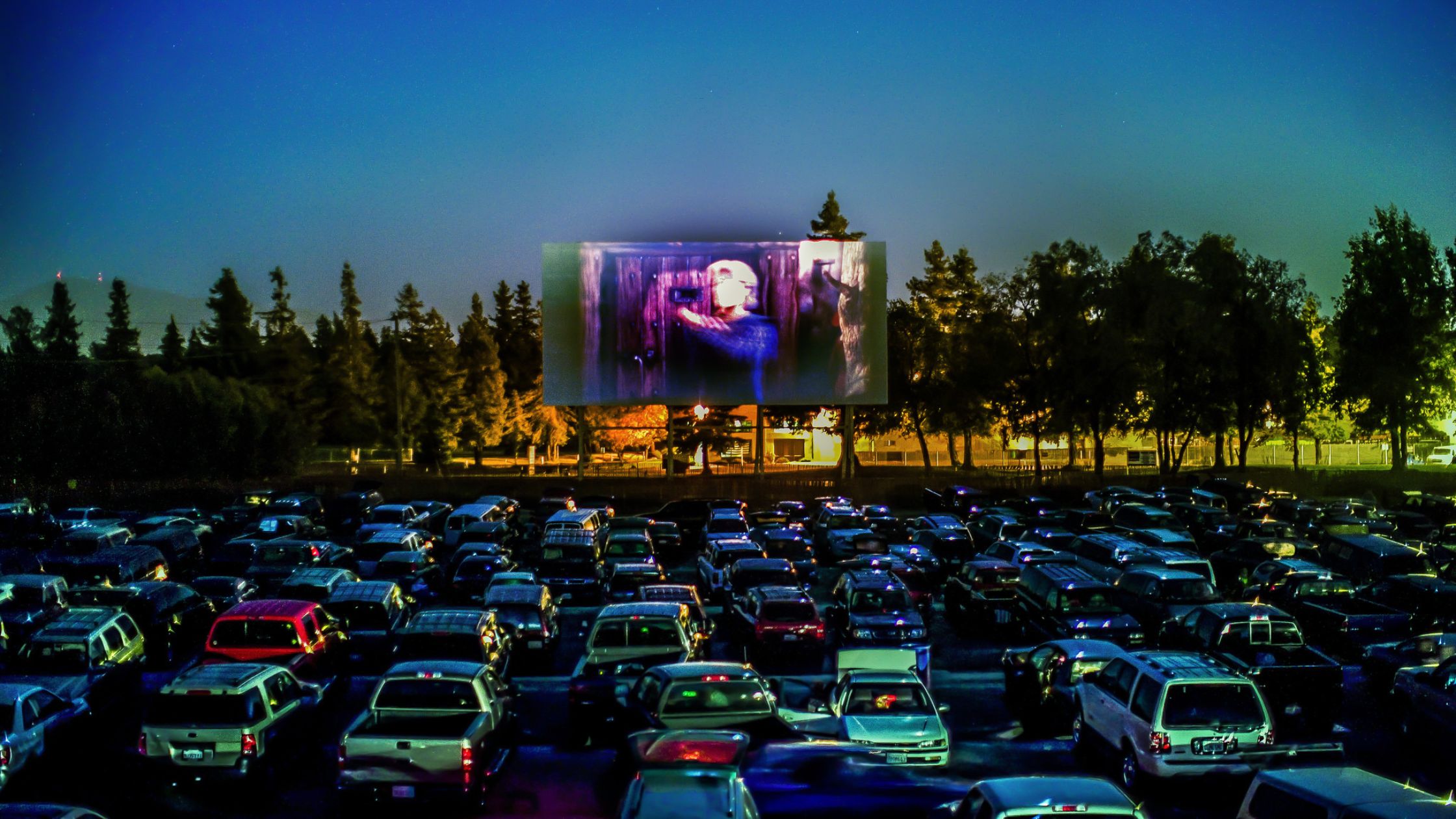 Backyard Drive-In Movie Party